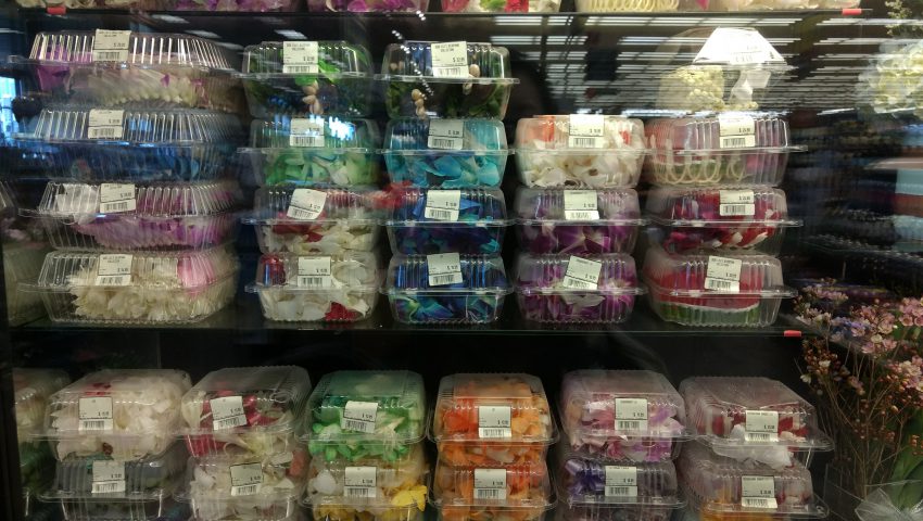 IMG_20170112_122006264