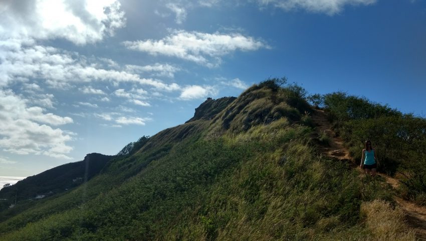 IMG_20170116_095112222_HDR