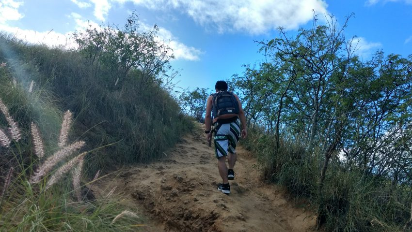 IMG_20170116_095154894_HDR