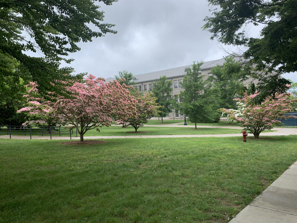 ロードアイランド大学の風景