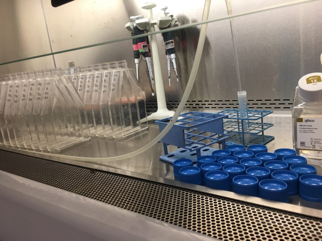 ミシガン大学アナーバー校研究室の様子