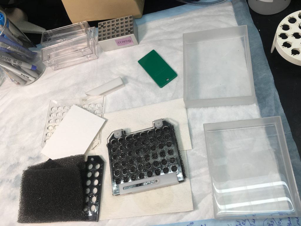 ミシガン大学アナーバー校の研究室様子