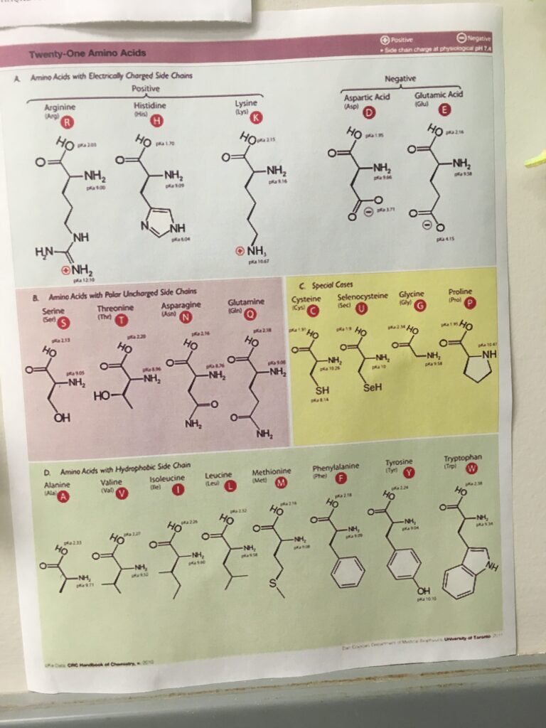 大学の研究室の様子
