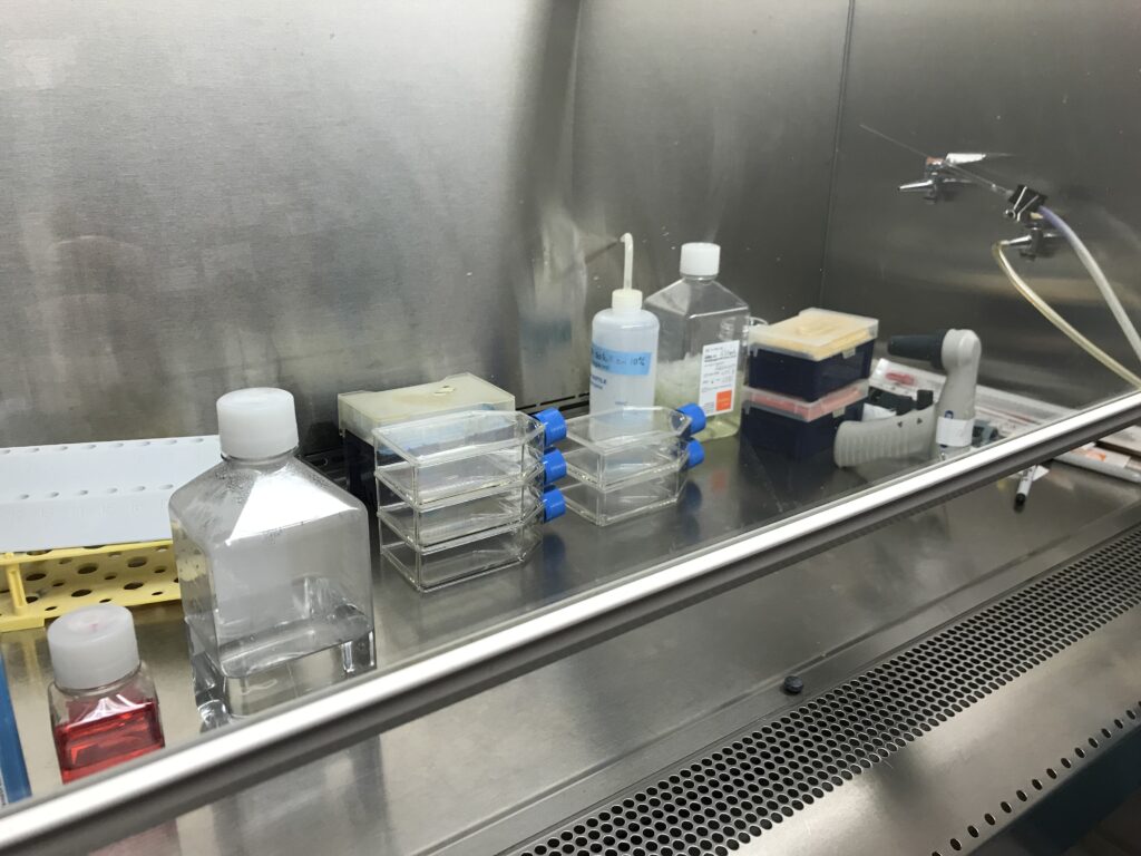 オーガスタ大学の研究室の様子