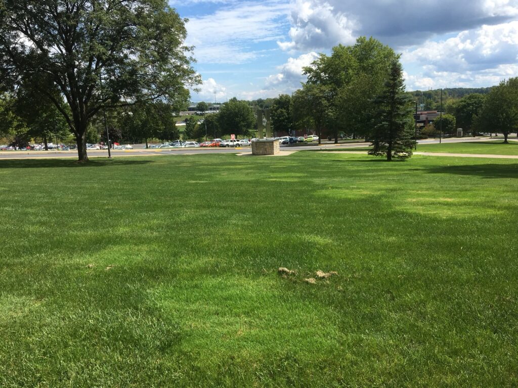 スリッパリーロック大学の様子