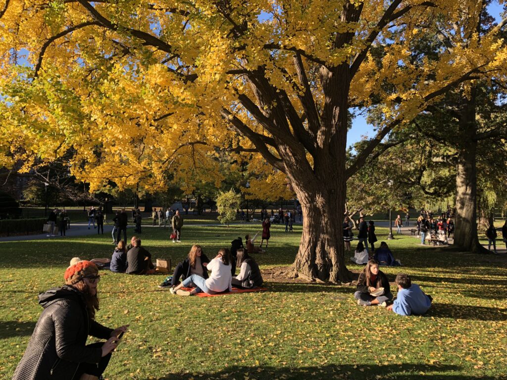 ノースカロライナ州グリーンズボロにあるギルフォード大学に留学する名取さん