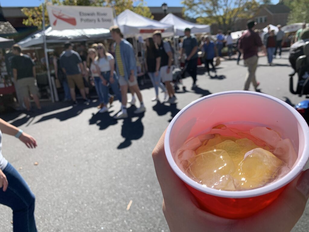 ジョージア州のノースジョージア大学(the University of North Georgia)