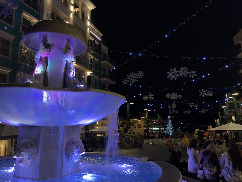 サンディエゴ州立大学への留学の様子