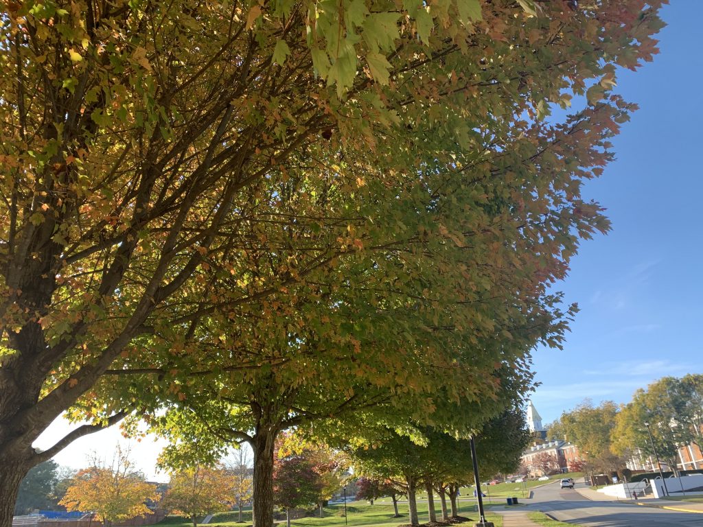 ノースジョージア大学周辺の様子