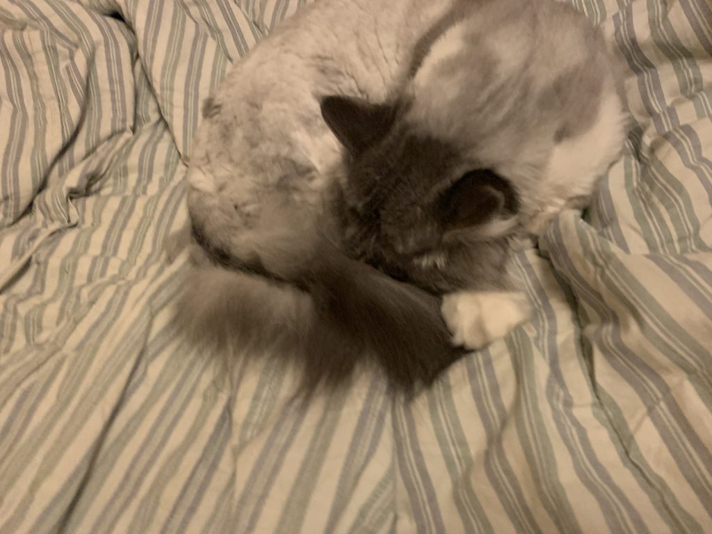 ネブラスカでの生活